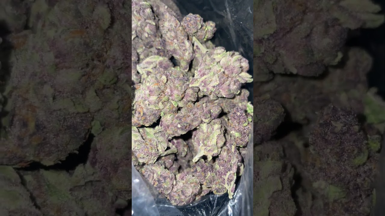 Tropical cherry 🍒 from puffy/myqwin.com 10/10 🫨 #cherry #smoke #gas #weedzao #kai