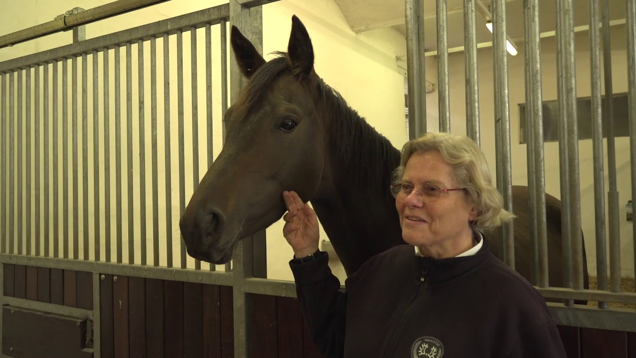 Gestüt Elmarshausen - Hendrik Schulze-Rückamp auf spannender hippologischer Entdeckungsreise