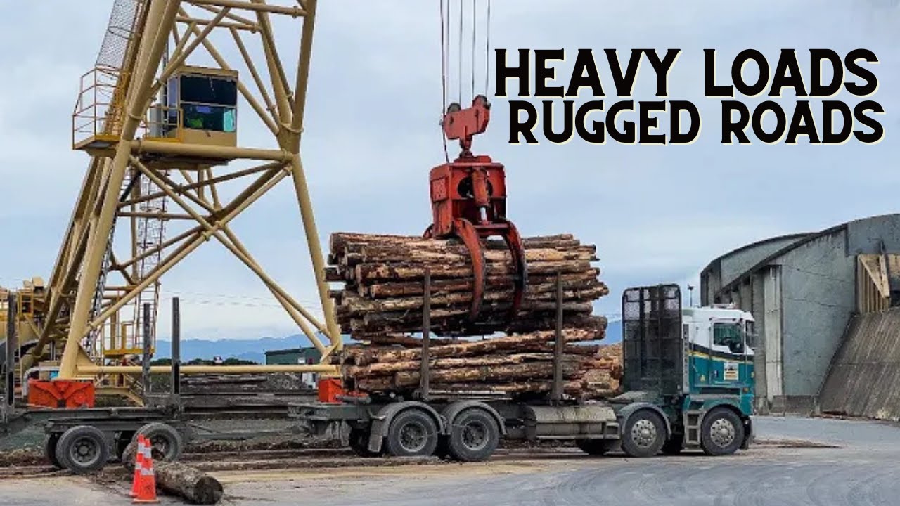 Trucks in NPI (Nelson Pine Industries)