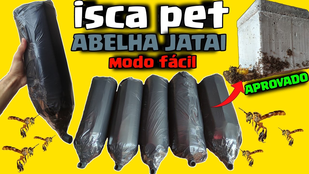 como fazer ninho isca pet para capturar abelha jatai - Jeito certo / fácil