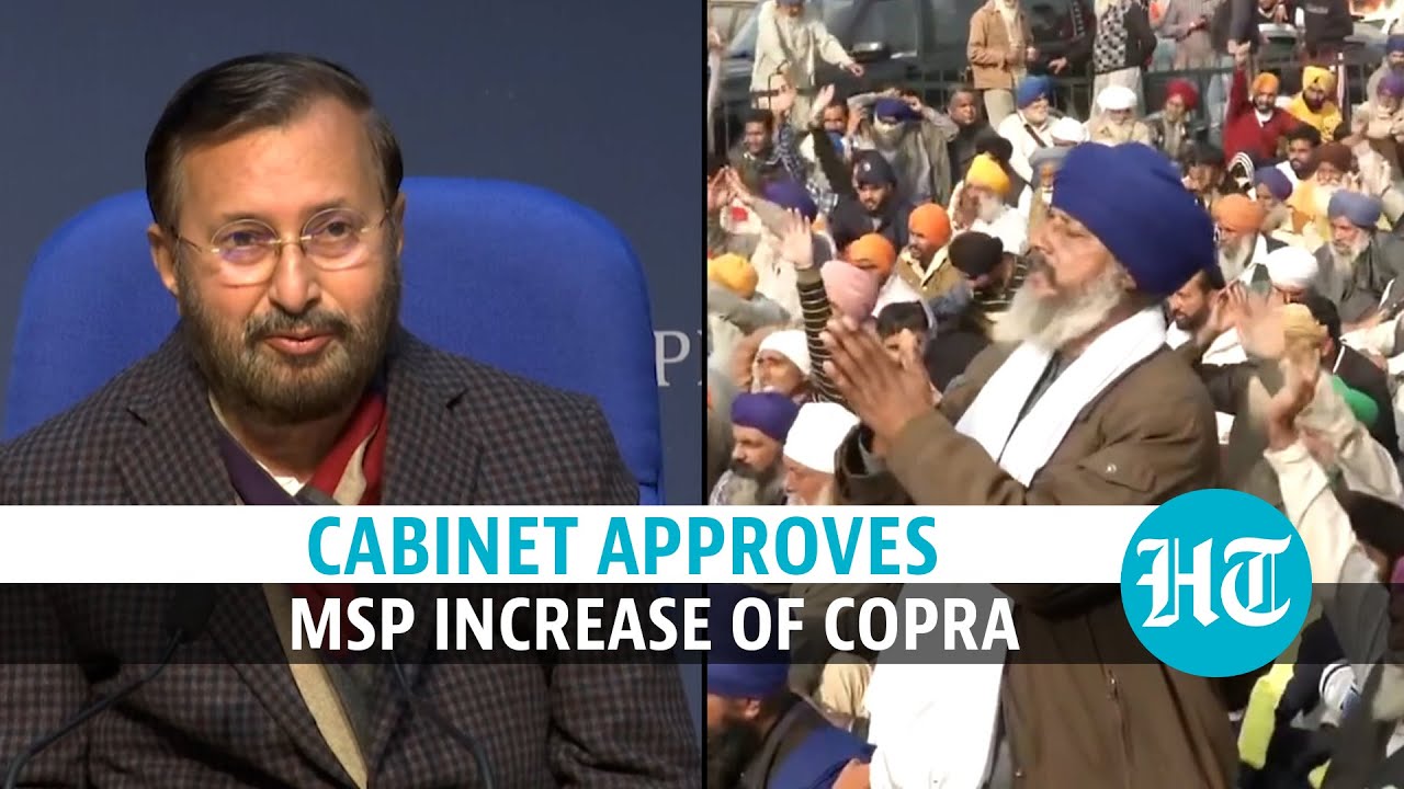 'Cabinet approved increase in MSP of milling and ball copra': Prakash Javadekar