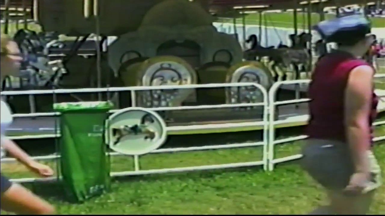 (2000 Footage) James H. Drew Exposition Carousel and Band Organ
