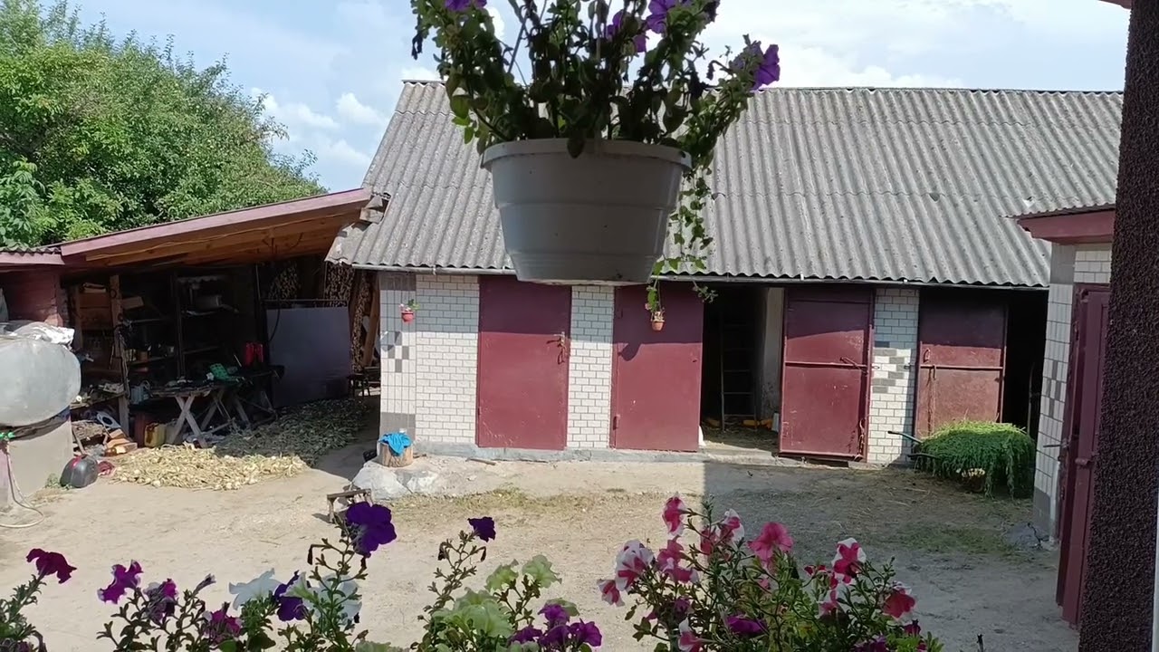 Аномальна жара на Хмельниччині.