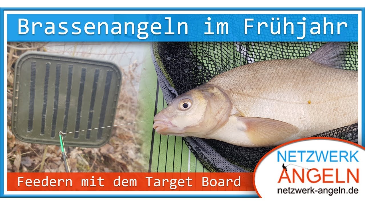 Brassenangeln im Frühjahr - Feedern mit dem Target Board