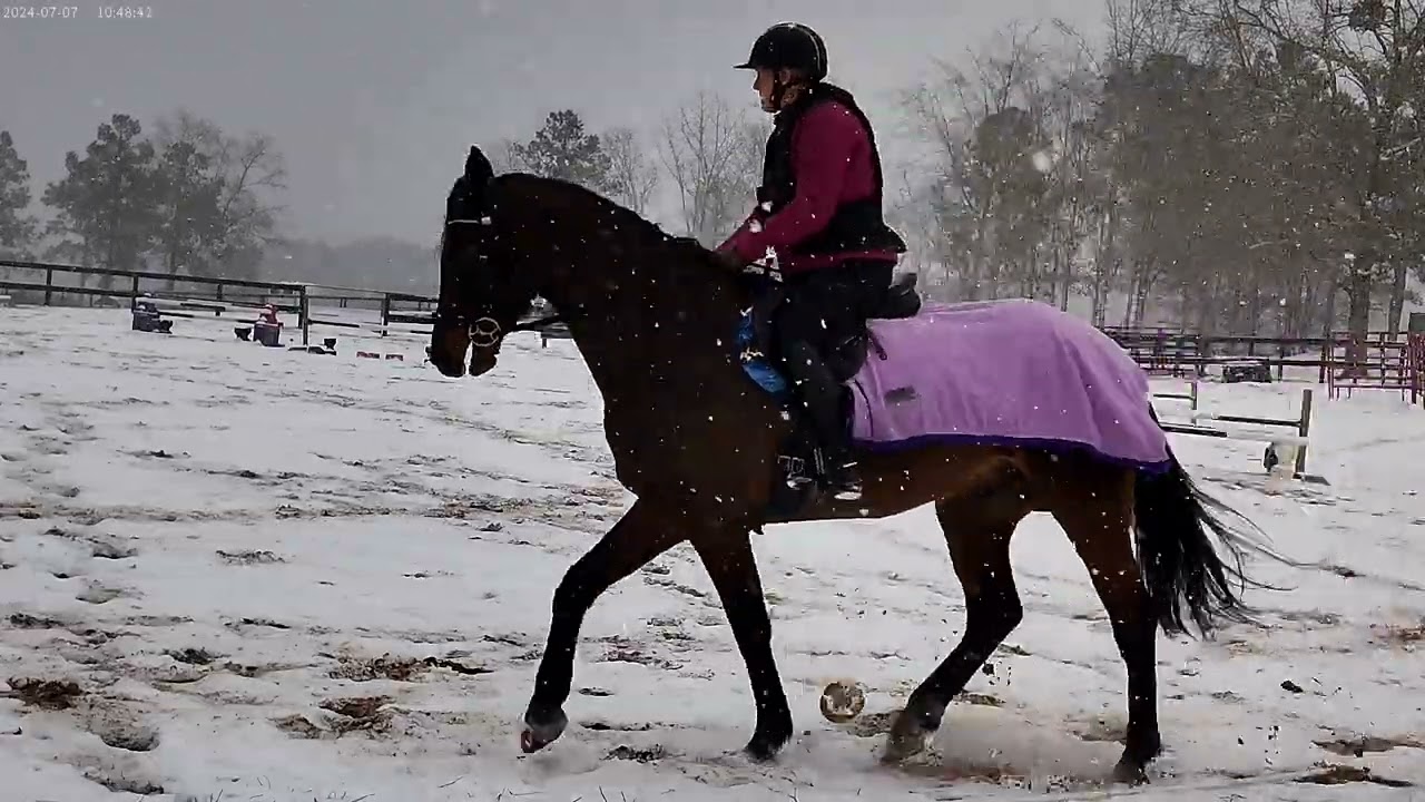 snowday jumping