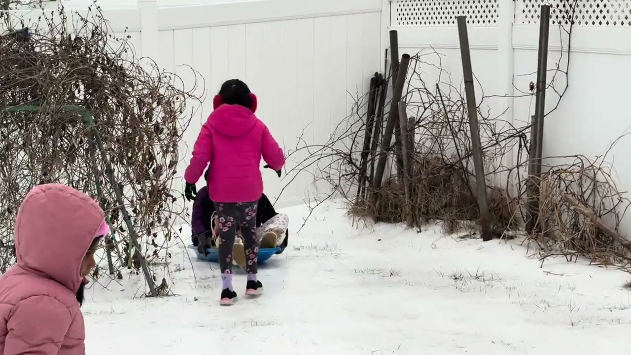 Sledding in the snow #funny #snowsledding 