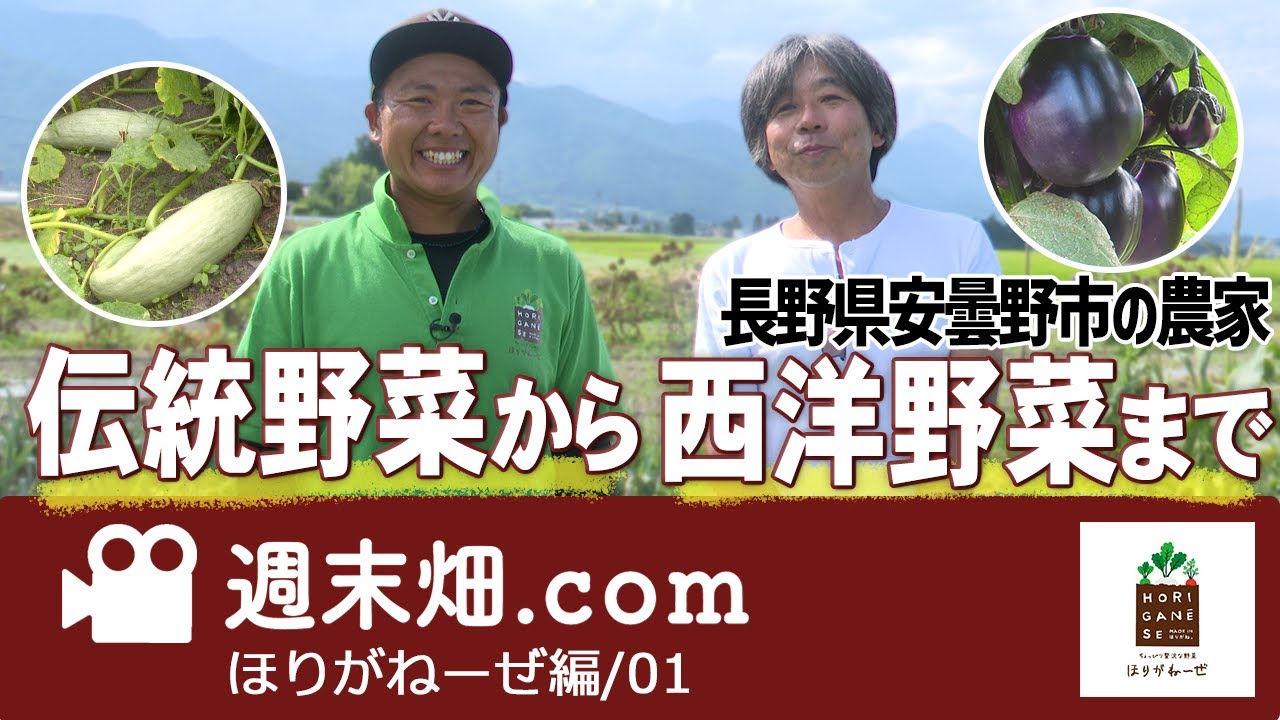 伝統野菜から西洋野菜まで! | 長野県安曇野市の農家 | ほりがねーぜ