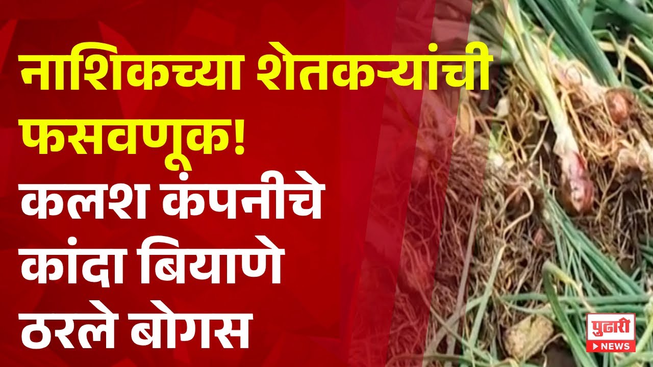 Pudhari News | नाशिकमध्ये कांदा बियाण्यांमध्ये मोठा घोळ; कलश कंपनीकडून घेतलेले बियाणे निघाले बोगस