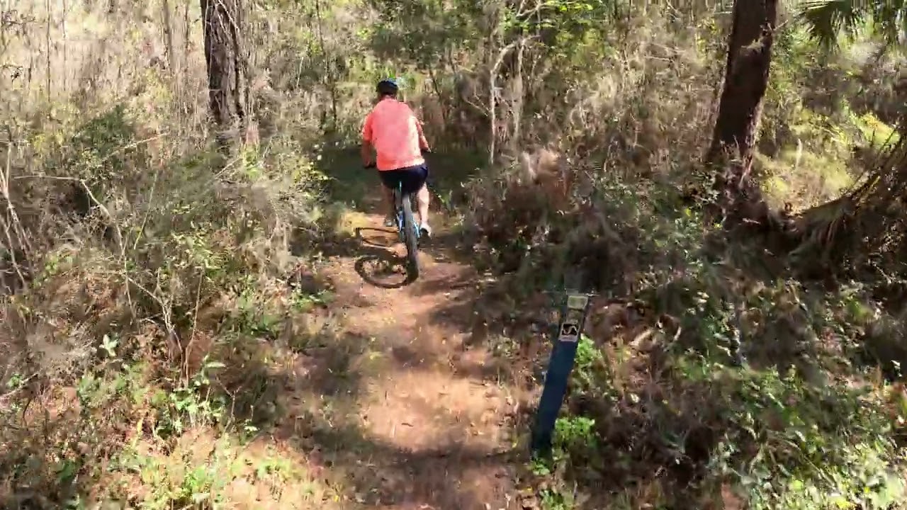 76 Cowbone Mountain Biking trail From the Bottom 28Feb25 Santos Trails, Ocala, Florida I'm on Yamaha