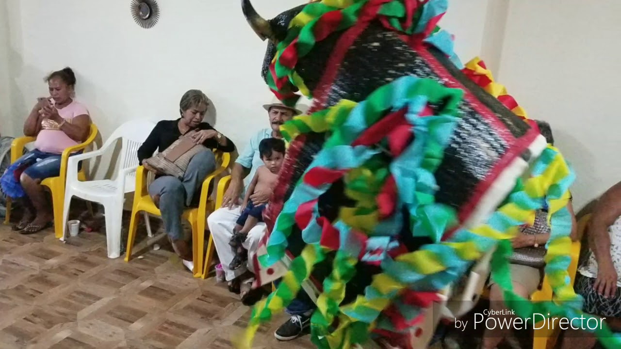 El toro de petate