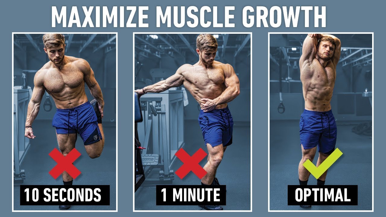 Why You Should Consider Stretching Between Sets (Science Explained)