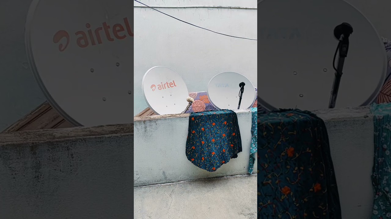 Airtel digital | no signal setting antenna problem