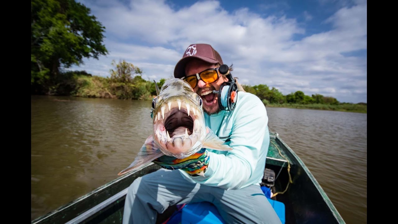 Monstrous Tiger Fish Fly Fishing in Tanzania