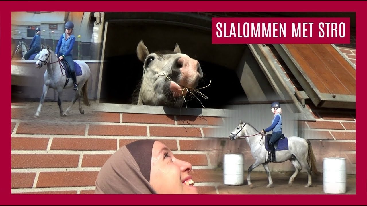 1e Working Equitation clinic met Illustro | BIT vs BITLOOS ?! | Vlog #117 | snuitable
