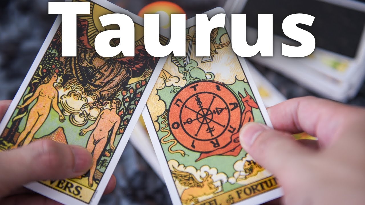 Taurus ♉ What They Find Out Makes Them Chase You!