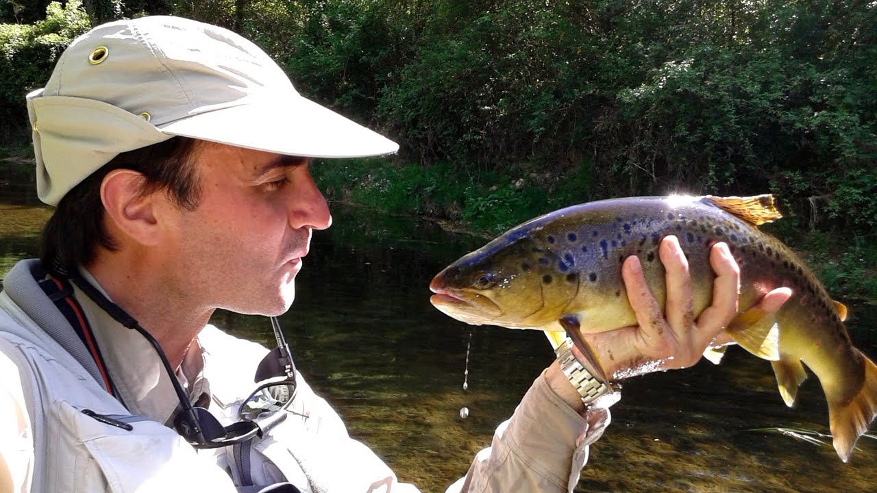 Nozioni di pesca a mosca alla TROTA sul chalk stream e sul torrente