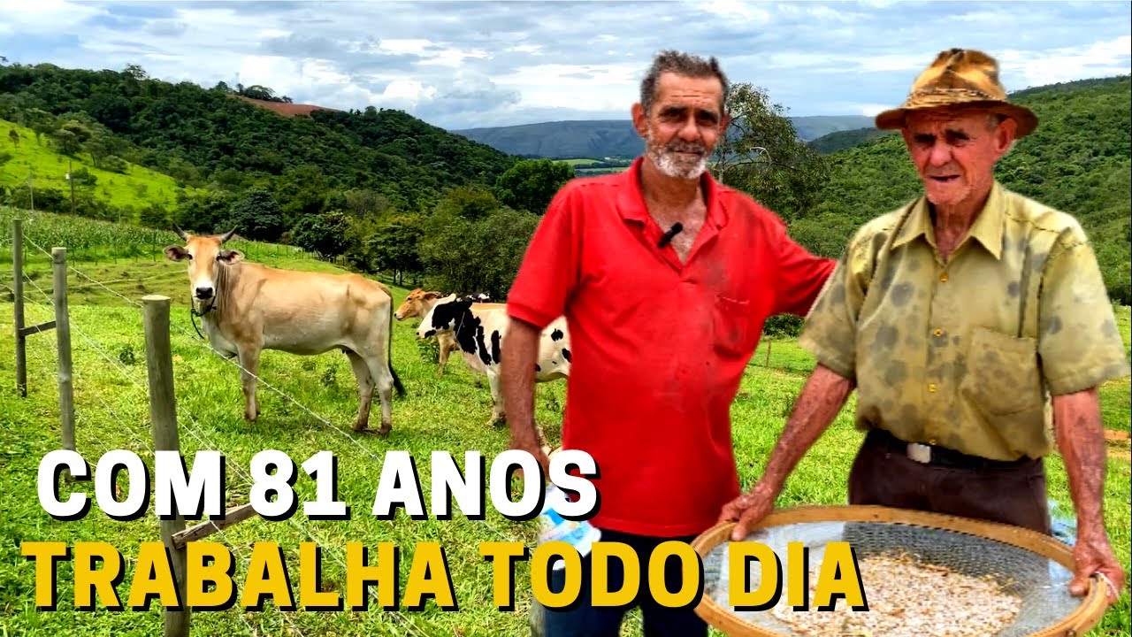 UM PEQUENO E LINDO SÍTIO QUE PRODUZ DE TUDO UM POUCO PRO GASTO