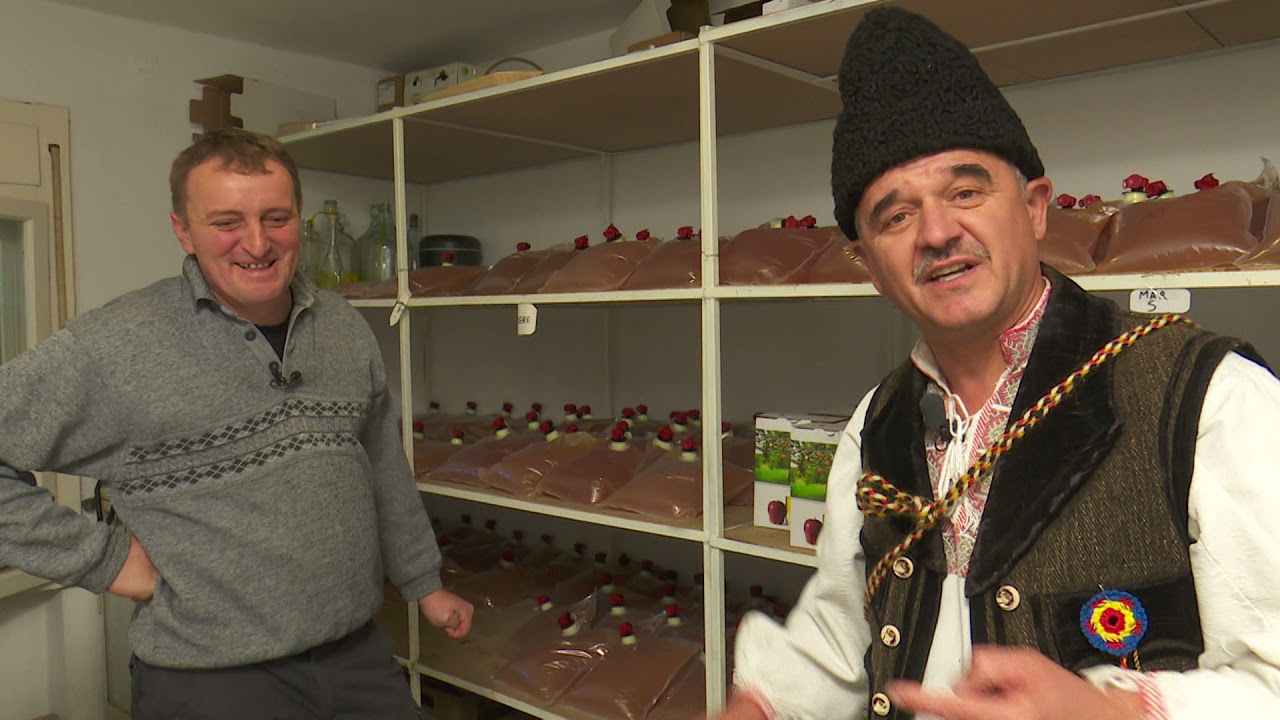 România în bucate: Suc de mere de casă și melspais cu mere la Cornereva (@TVR Timişoara)