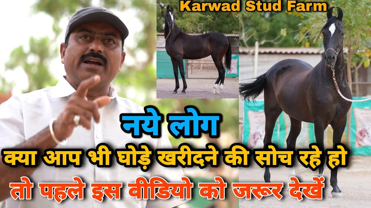 घोड़े खरीदने से पहले यह वीडियो जरूर देख लेना | For Beginners |