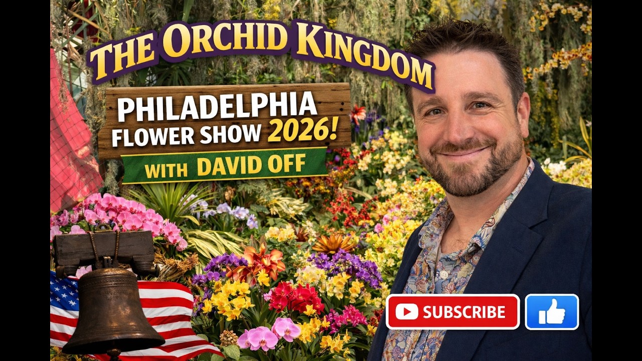 David Off of Waldor Orchids Tours His 2026 Philadelphia Flower Show Display