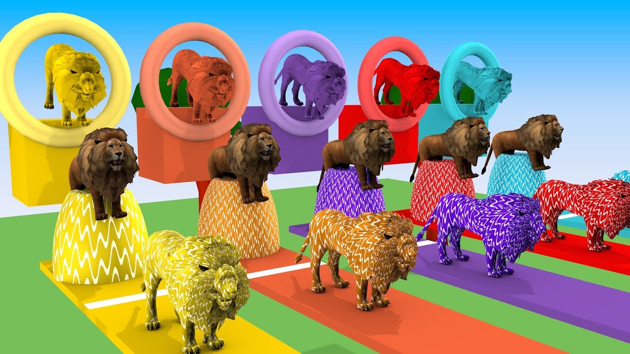 Lion Fountain Crossing Game on Racing Track Lion Jump from Rings | Animal Fountain Crossing