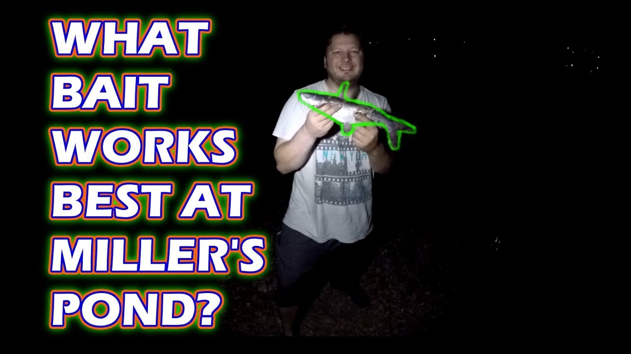 Miller's Pond Catfish - What Bait Works Best? High Pressured Fishing EP. 2
