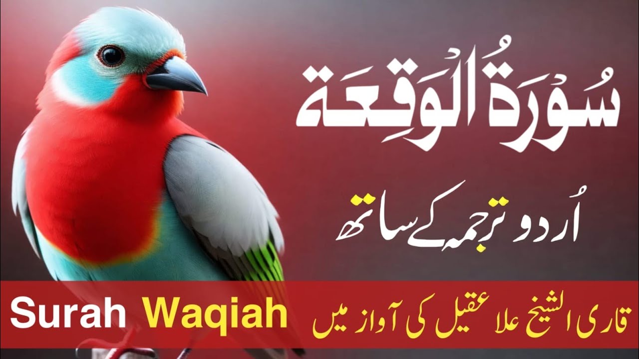 Surah Al-Waqiah With Urdu & Hindi Translation | Qari Shaikh Alaa Aqel Beautiful Tilawat Episode 11