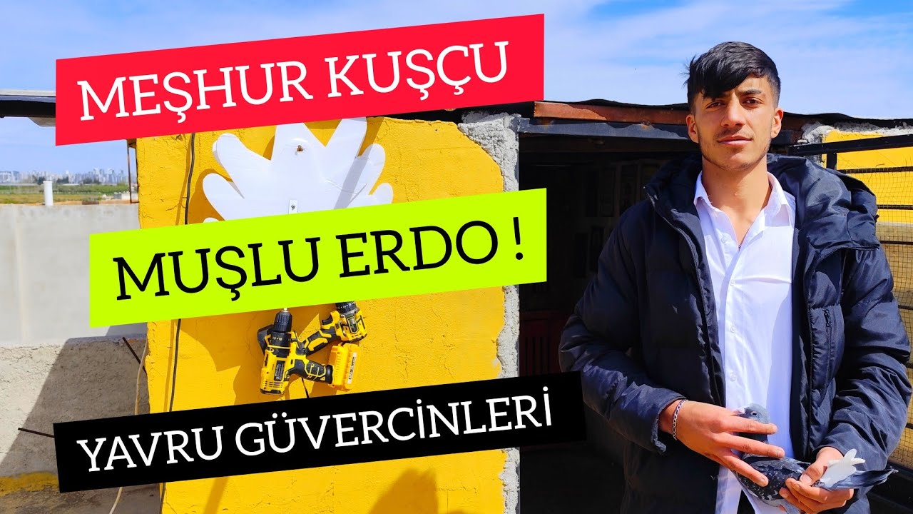 Meşhur Kuşçu Erdo Adana Güvercinleri BİRBİRİNDEN  GÜZEL | Küçük Dikili