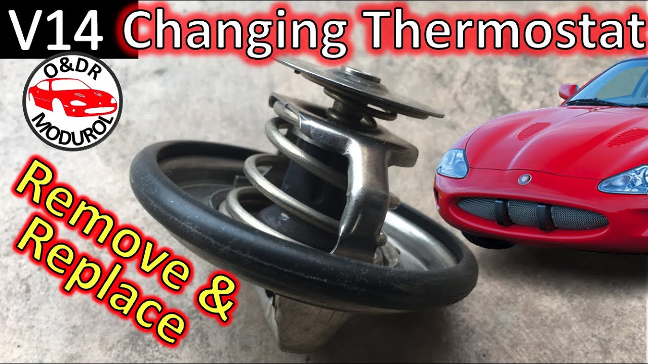 Jaguar XK8 Thermostat Replacement DIY - Simple Step-by-Step guide. Modurol V14 XKR X100 AJV8 XJ XJR