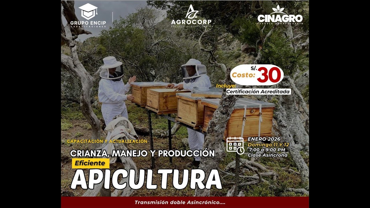 APICULTURA EFICIENTE: CRIANZA, MANEJO Y PRODUCIÓN 2 - LUNES 12 ENERO
