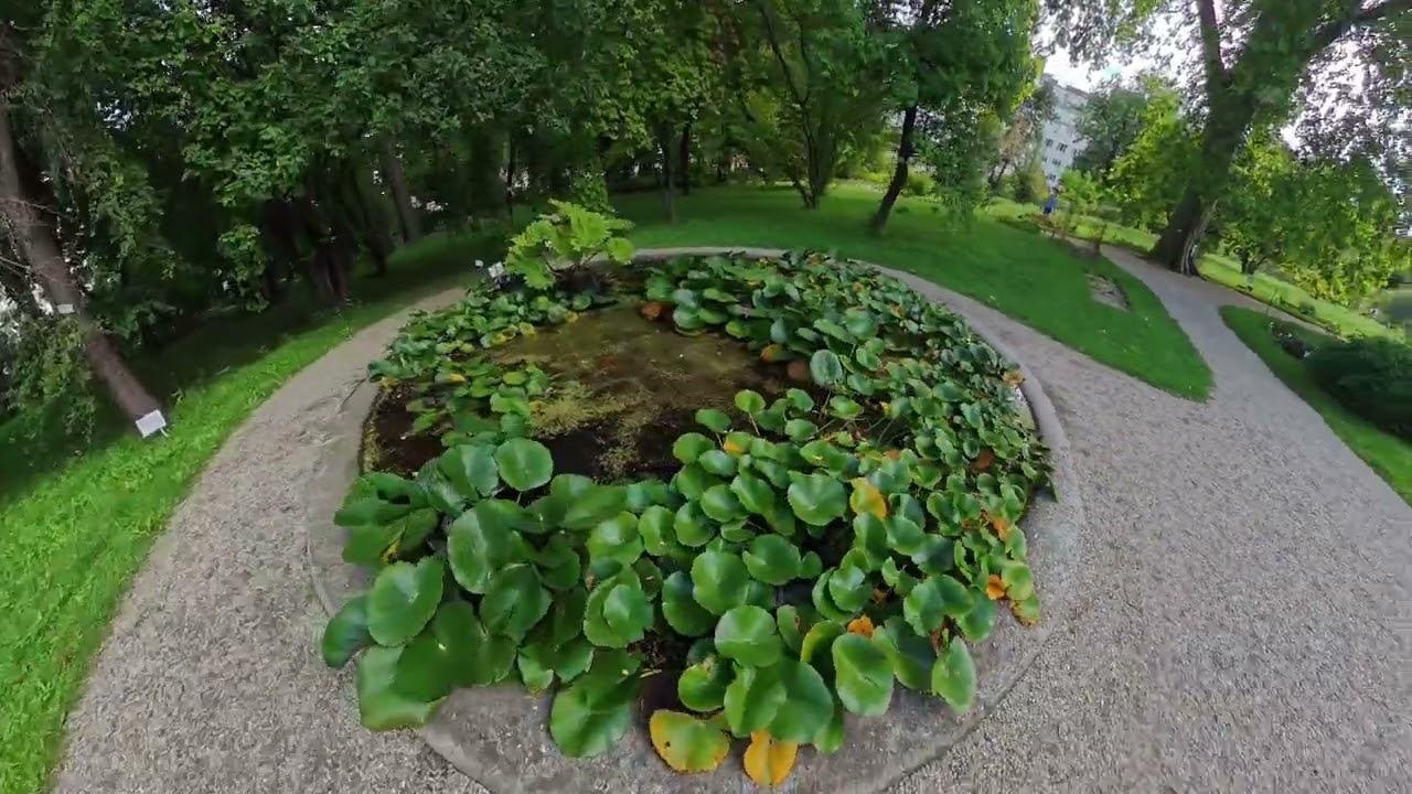 Botanischer Garten der Universität Wien