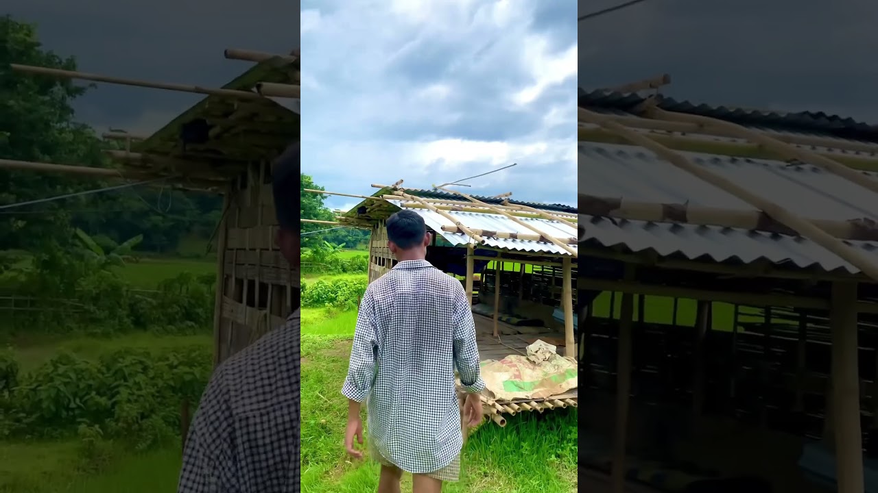 Funny short video #garofunnyvideo