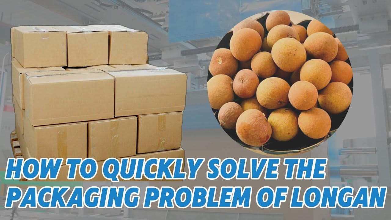 Discover Our Latest Longan Packaging Line | Efficient Packaging Solutions