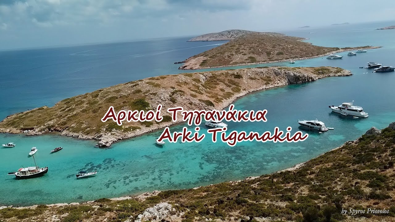 Αρκιοι Τηγανακια Arkioi Tiganakia