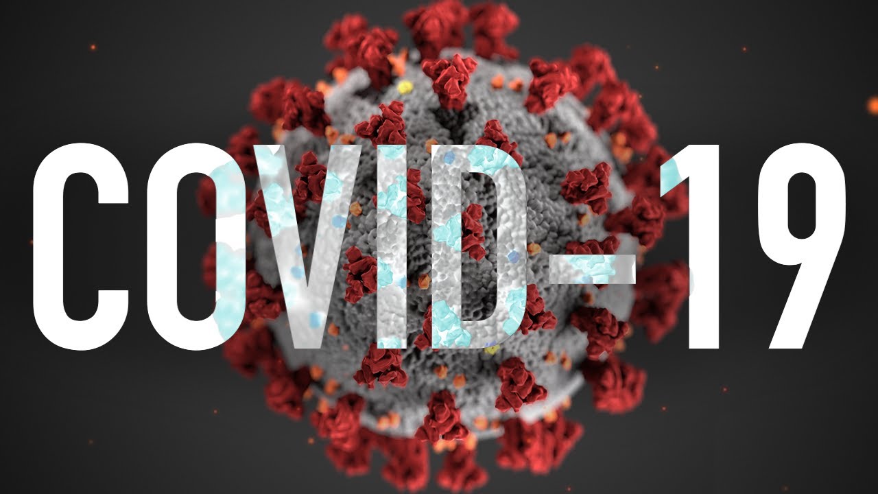 What are Coronaviruses and How Deadly is COVID-19?