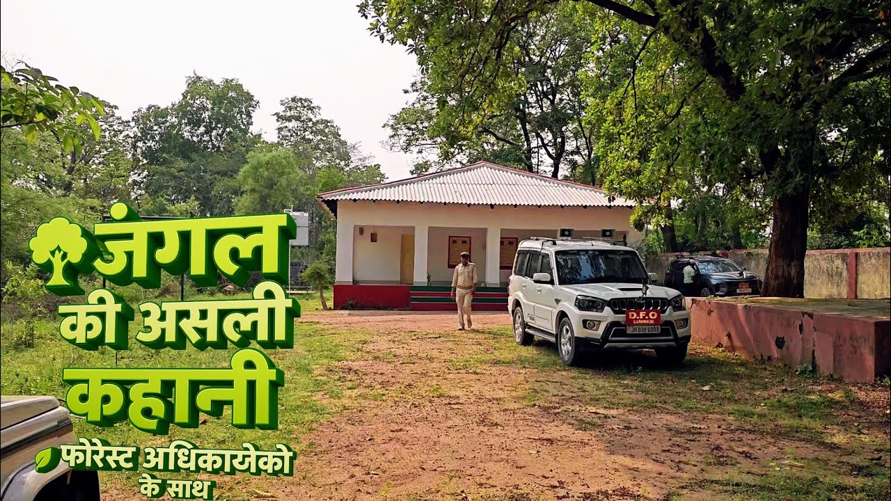 Jungle Ka Hero Kaun।Inside the Jungle: Forest Team Ki Real Duty!।