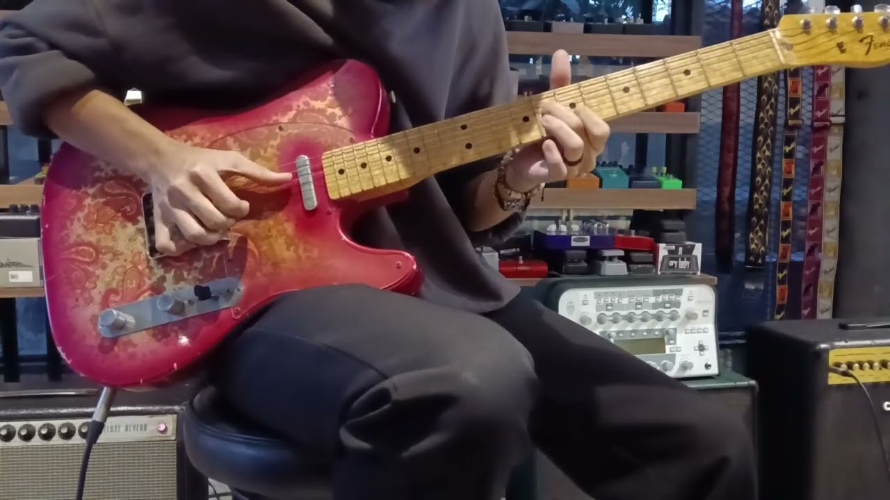 Fender Custom Shop Master Built 1969 Telecaster Relic Paisley Paul Waller 2012 