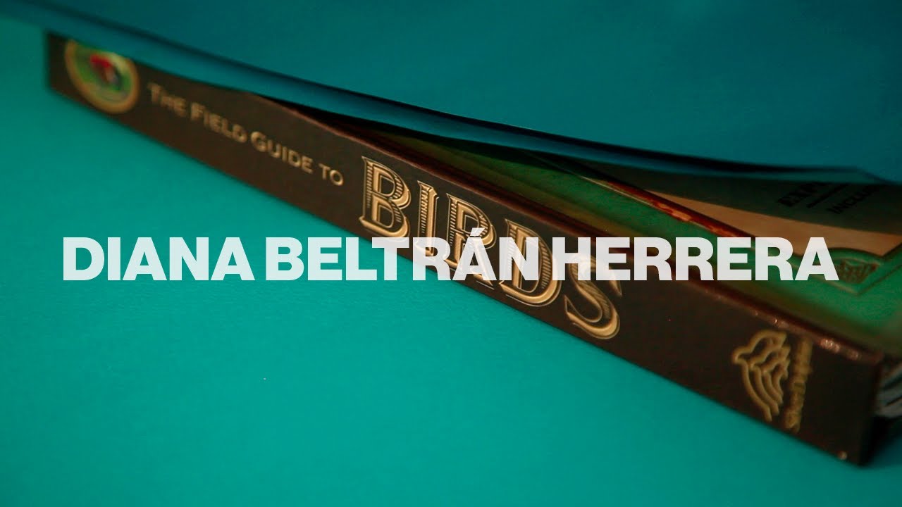 Fotocopias Presenta: Diana Beltrán Herrera - Artista de papel