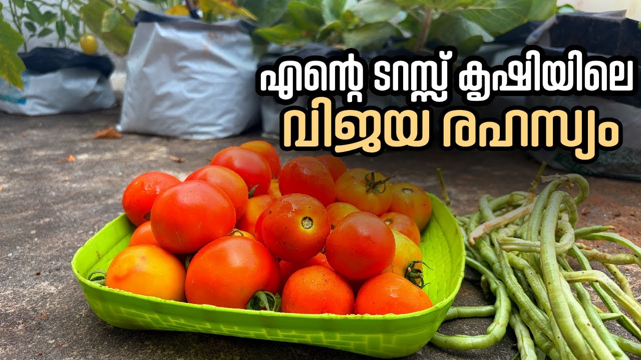ഇത്രെയൊക്കെ ശ്രദ്ധിച്ചാൽ മതി 🥰☝️