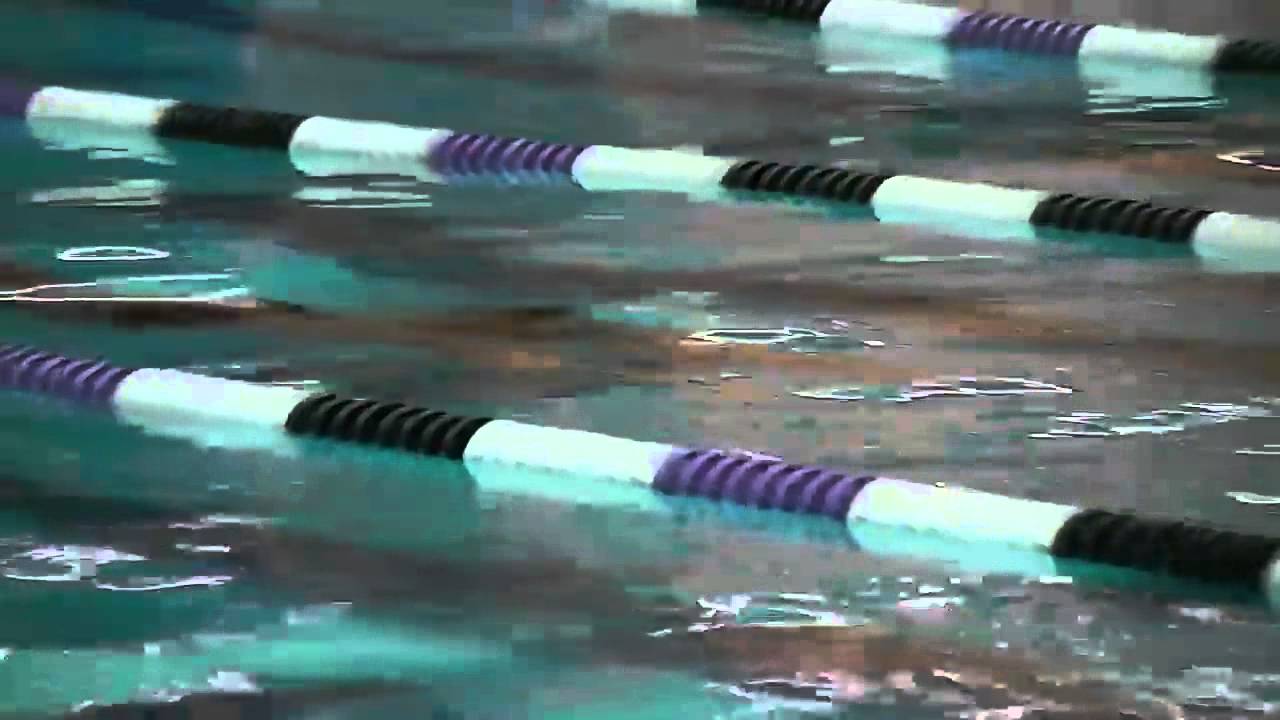NYU Men's Swimming & Diving Season Update