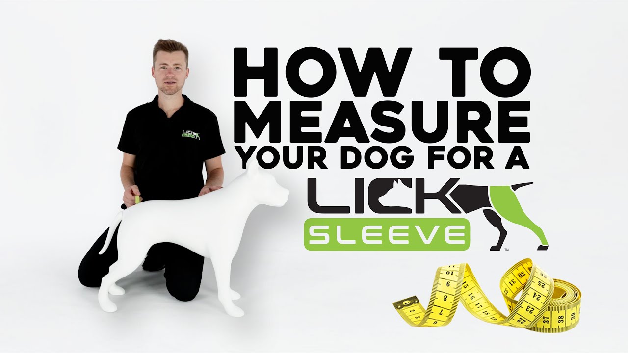 How to Measure Your Dog for a Lick Sleeve with Dr. Allman, DACVS-SA