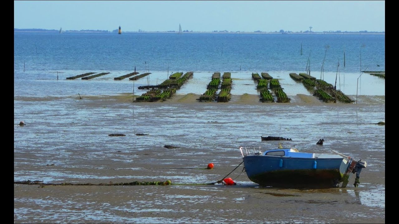 Randonnée de Loix à Saint-Martin-de-Ré, Île-de-Ré.