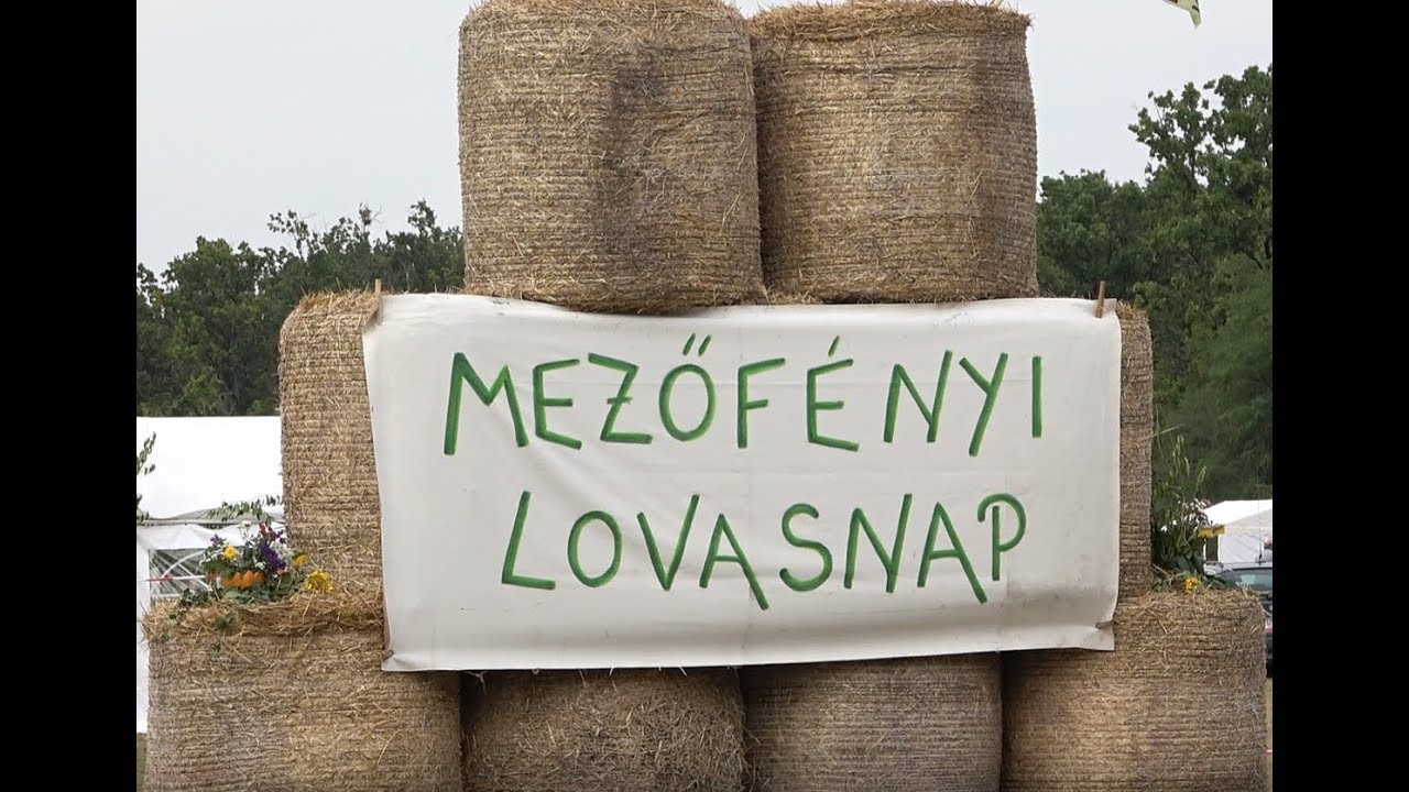 Mezőf&eacute;nyi lovasnap 2019