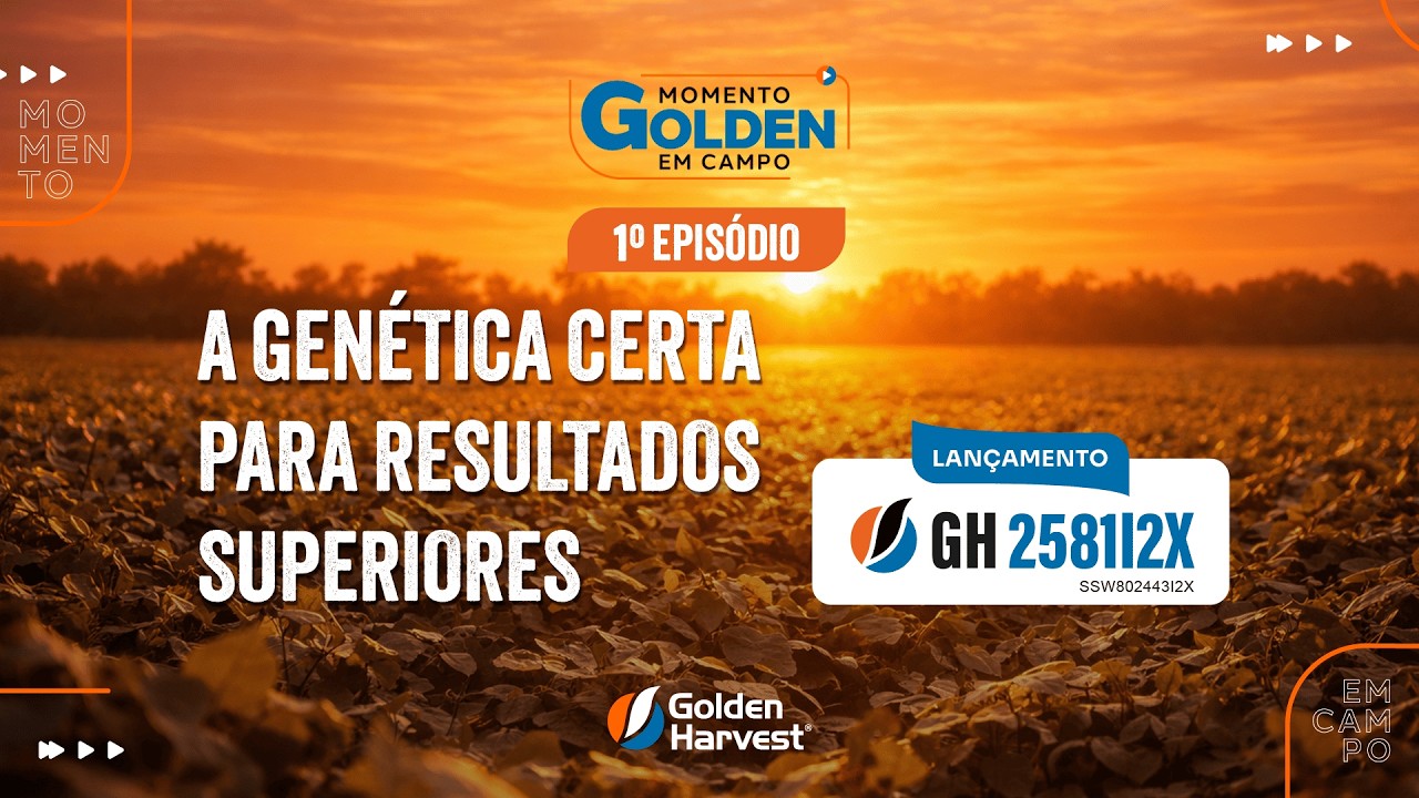 Momento Golden em campo 1º episódio | Conheça a cultivar do momento: GH2581I2X