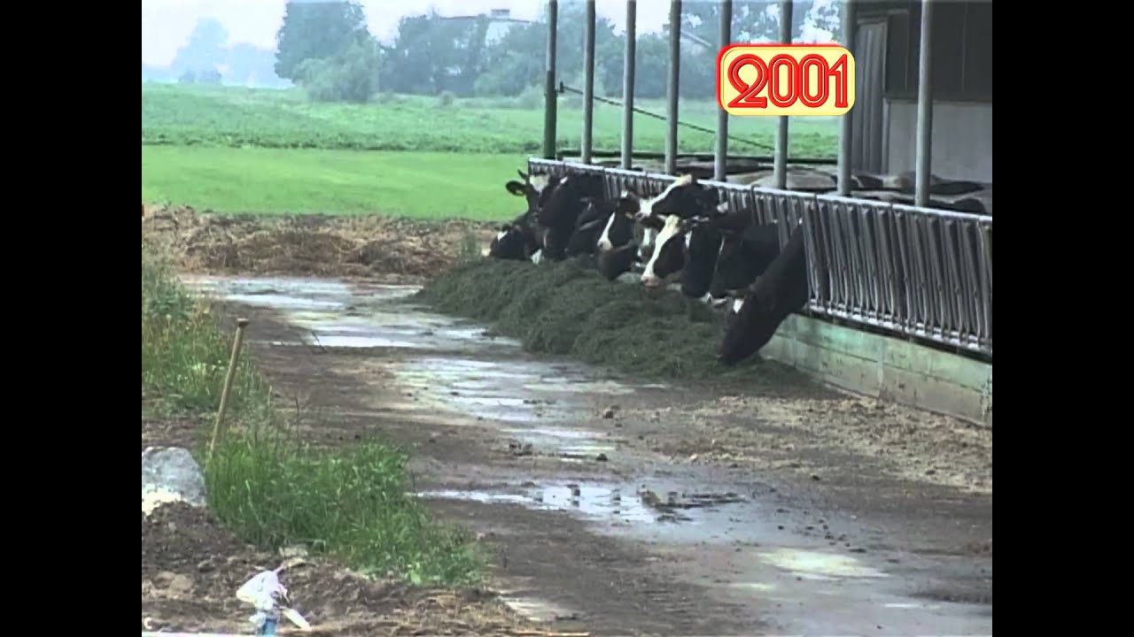 Gospodarka w 2001r i 10 lat później (HD)
