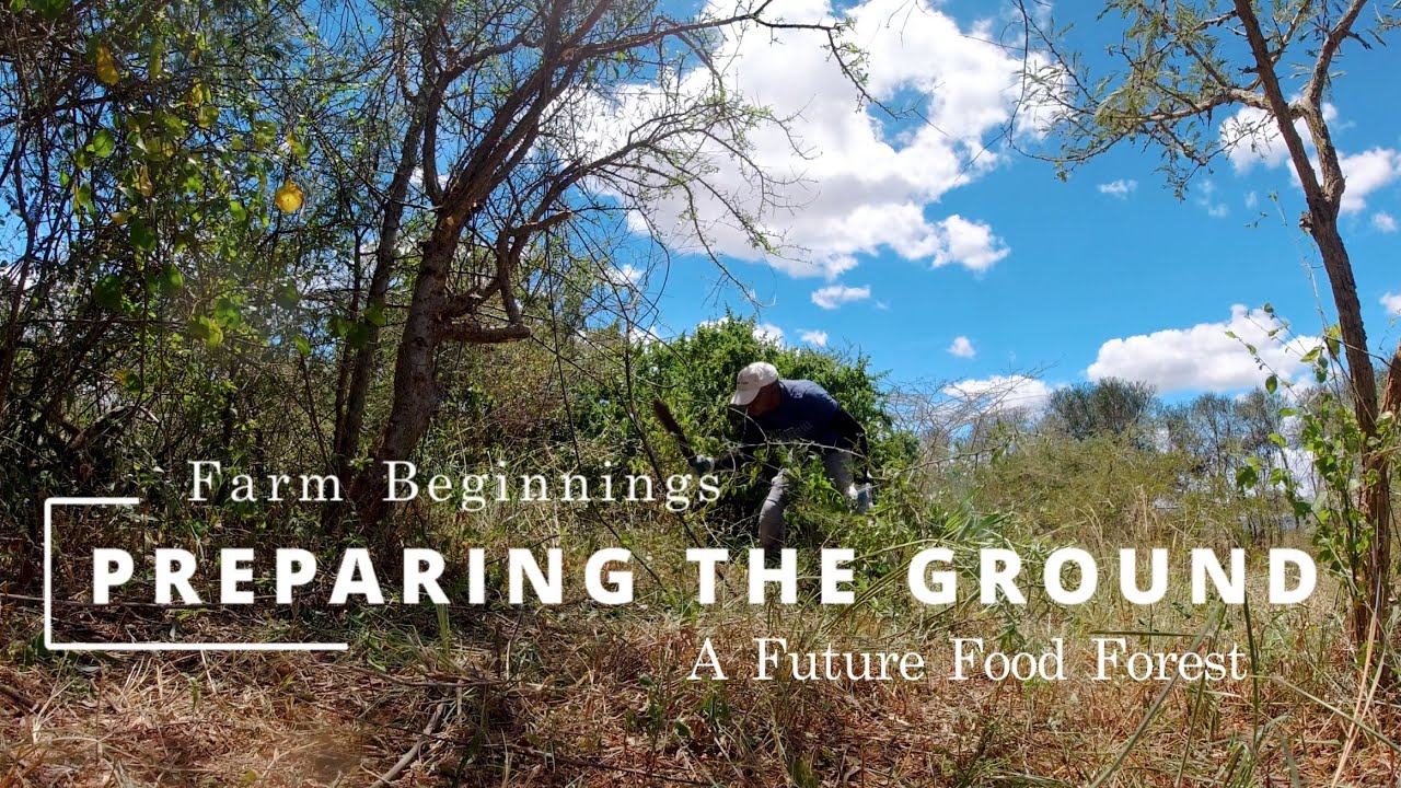 Farm Beginnings | Cleaning and Opening Land for an Orchard