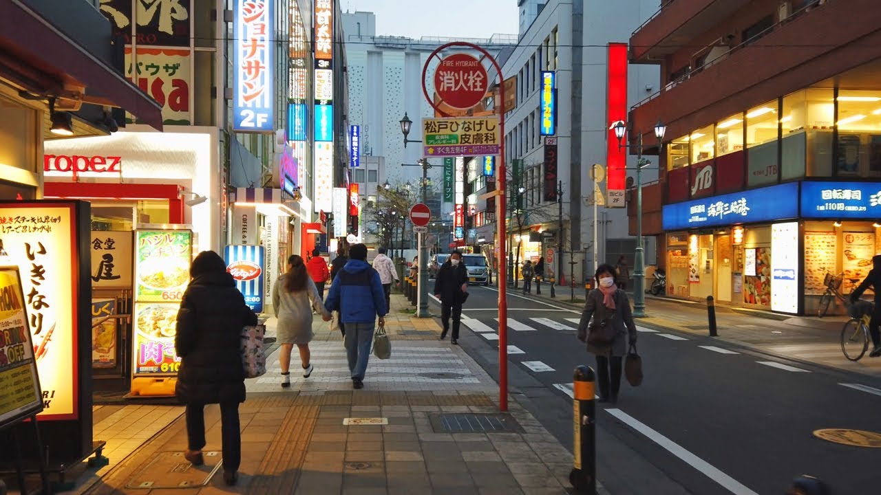 Night Walking at Matsudo, Chiba pref. 4K