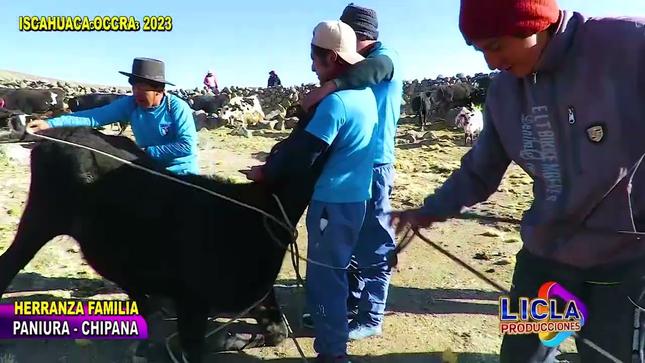 HERRANZA DE LA FAMILIA PANIURA-CHIPANA( ISCAHUACA)