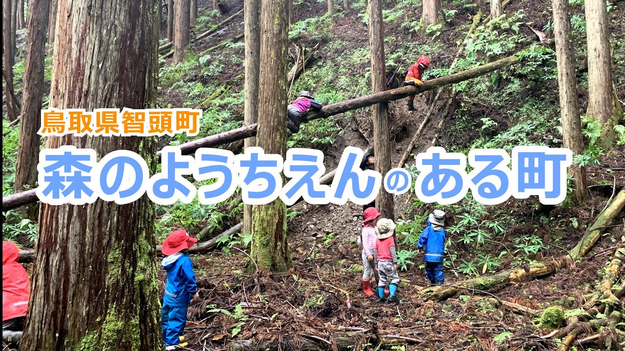 森のようちえんのある町（NPO法人智頭の森こそだち舎）