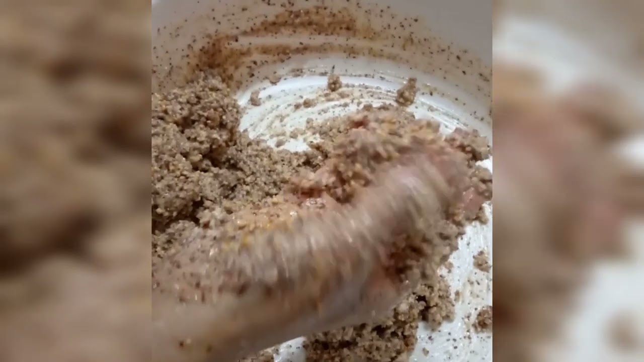 حلوة بتبرية جابوها ولادي ولكن خطيرة أقسم بالله العظيم حتى زوينة ❤️ 🙏